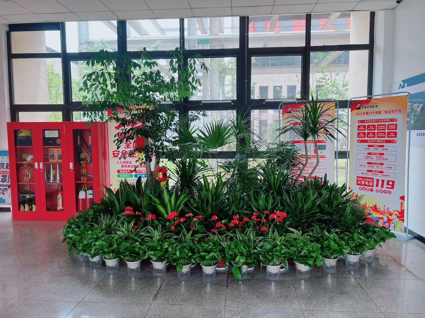 宁波前湾花木租赁方案